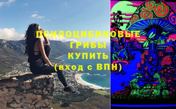 бутират Коряжма