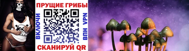 Купить где  Игарка  Галлюциногенные грибы Psilocybe 
